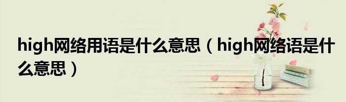 high网络用语是什么意思（high网络语是什么意思）