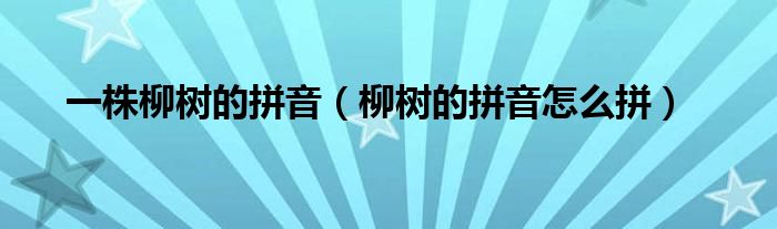 一株柳树的拼音（柳树的拼音怎么拼）