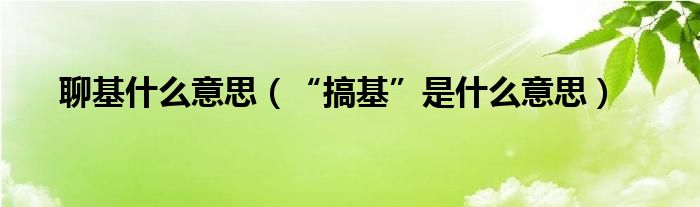 聊基什么意思（“搞基”是什么意思）