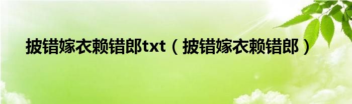 披错嫁衣赖错郎txt（披错嫁衣赖错郎）