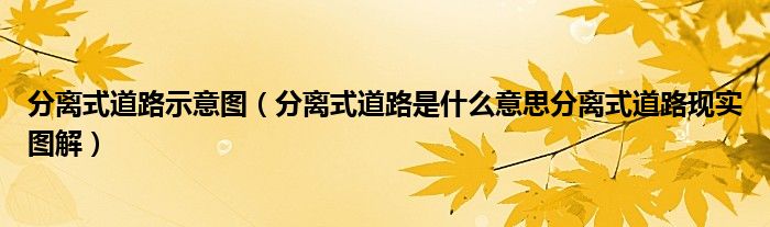 分离式道路示意图（分离式道路是什么意思分离式道路现实图解）