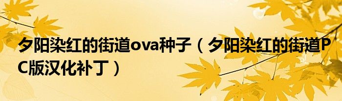 夕阳染红的街道ova种子（夕阳染红的街道PC版汉化补丁）