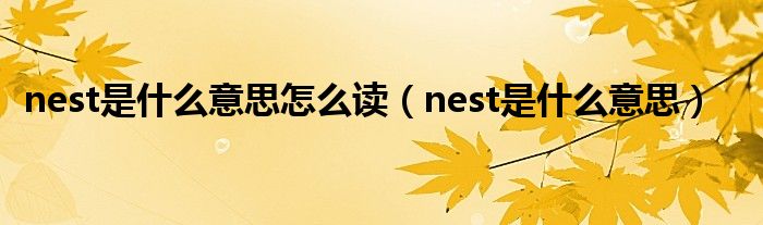 nest是什么意思怎么读（nest是什么意思）