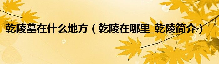 乾陵墓在什么地方（乾陵在哪里_乾陵简介）