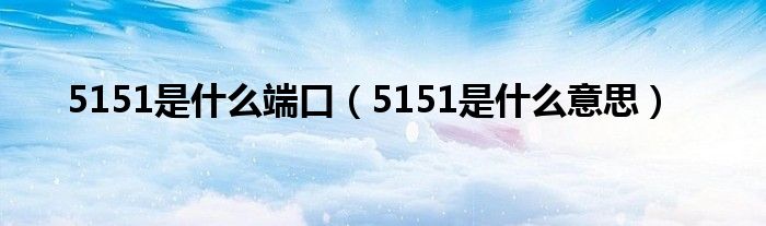 5151是什么端口（5151是什么意思）