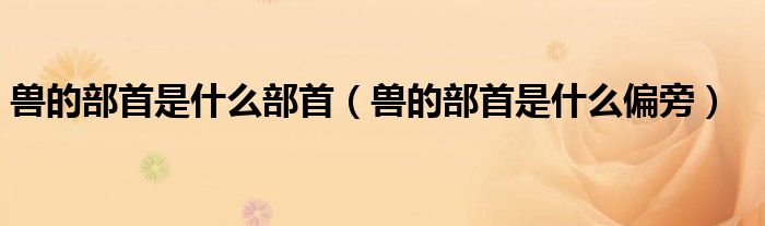 兽的部首是什么部首（兽的部首是什么偏旁）