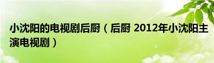 小沈阳的电视剧后厨（后厨 2012年小沈阳主演电视剧）