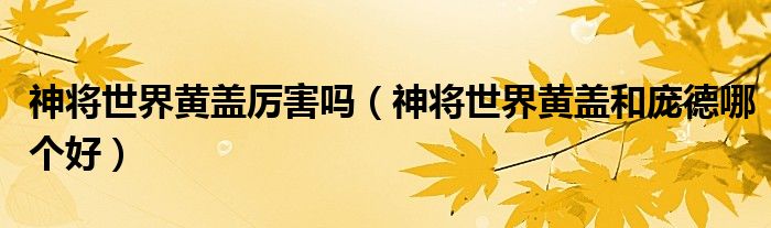 神将世界黄盖厉害吗（神将世界黄盖和庞德哪个好）