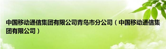 中国移动通信集团有限公司青岛市分公司（中国移动通信集团有限公司）