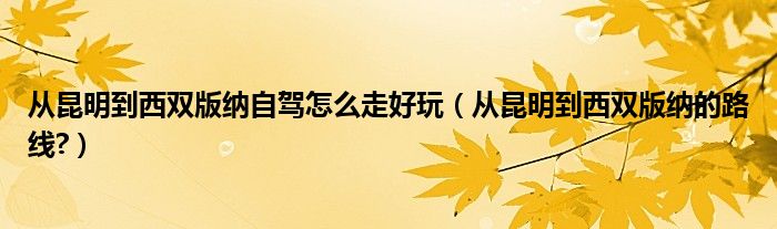 从昆明到西双版纳自驾怎么走好玩（从昆明到西双版纳的路线?）