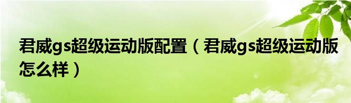 君威gs超级运动版配置（君威gs超级运动版怎么样）