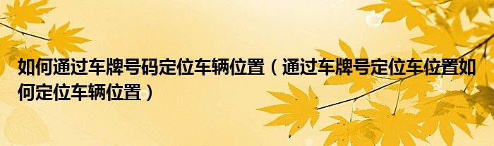 如何通过车牌号码定位车辆位置（通过车牌号定位车位置如何定位车辆位置）