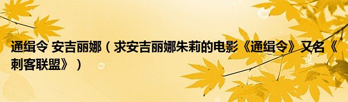通缉令 安吉丽娜（求安吉丽娜朱莉的电影《通缉令》又名《刺客联盟》）