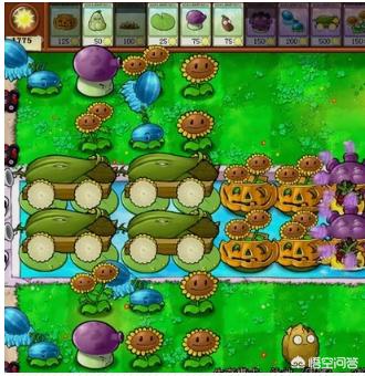 植物大战僵尸无尽版攻略(植物大战僵尸无尽版攻略有哪些)