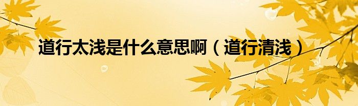 道行太浅是什么意思啊（道行清浅）
