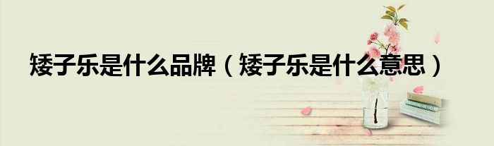 矮子乐是什么品牌（矮子乐是什么意思）