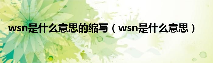 wsn是什么意思的缩写（wsn是什么意思）