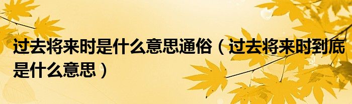 过去将来时是什么意思通俗（过去将来时到底是什么意思）