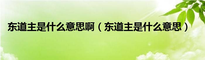 东道主是什么意思啊（东道主是什么意思）