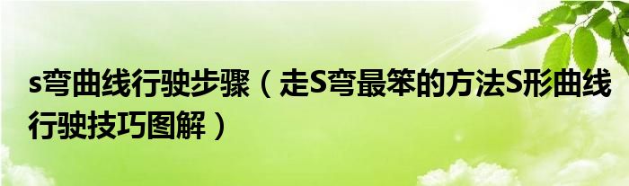 s弯曲线行驶步骤（走S弯最笨的方法S形曲线行驶技巧图解）