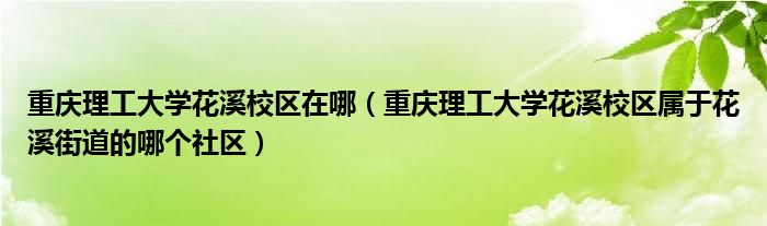 重庆理工大学花溪校区在哪（重庆理工大学花溪校区属于花溪街道的哪个社区）