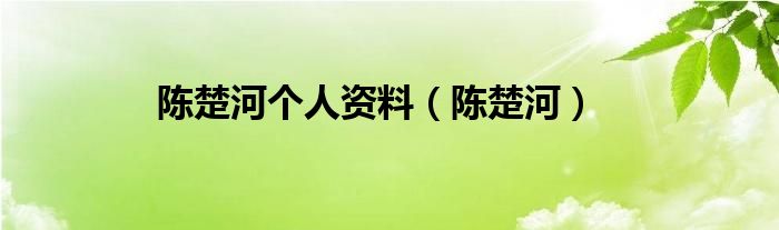 陈楚河个人资料（陈楚河）