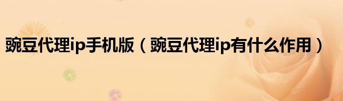 豌豆代理ip手机版（豌豆代理ip有什么作用）