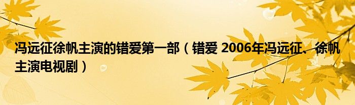 冯远征徐帆主演的错爱第一部（错爱 2006年冯远征、徐帆主演电视剧）