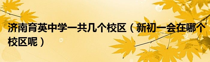 济南育英中学一共几个校区（新初一会在哪个校区呢）