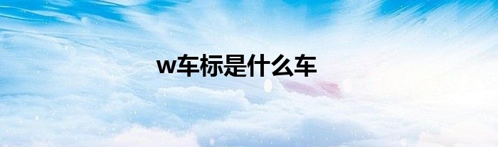 w车标是什么车