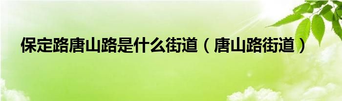 保定路唐山路是什么街道（唐山路街道）