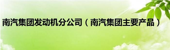 南汽集团发动机分公司（南汽集团主要产品）