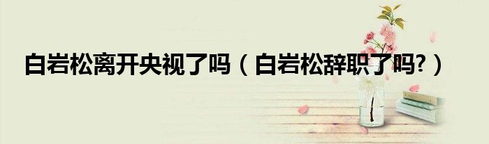 白岩松离开央视了吗（白岩松辞职了吗?）