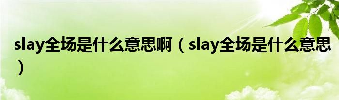 slay全场是什么意思啊（slay全场是什么意思）