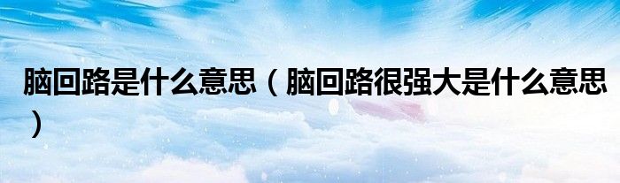 脑回路是什么意思（脑回路很强大是什么意思）