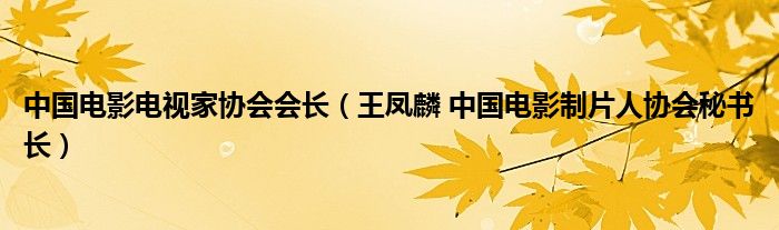 中国电影电视家协会会长（王凤麟 中国电影制片人协会秘书长）