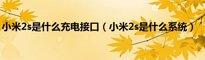 小米2s是什么充电接口（小米2s是什么系统）