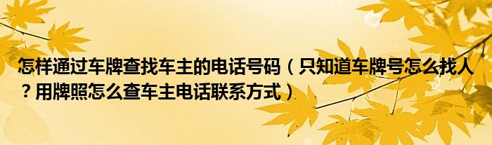 怎样通过车牌查找车主的电话号码（只知道车牌号怎么找人？用牌照怎么查车主电话联系方式）
