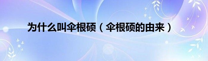 为什么叫伞根硕（伞根硕的由来）