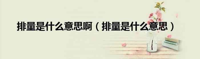 排量是什么意思啊（排量是什么意思）