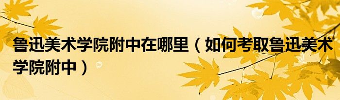 鲁迅美术学院附中在哪里（如何考取鲁迅美术学院附中）