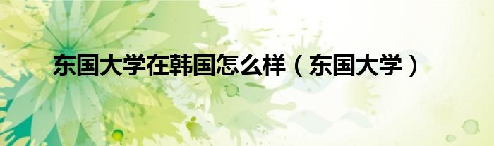 东国大学在韩国怎么样（东国大学）