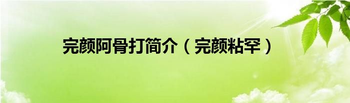 完颜阿骨打简介（完颜粘罕）