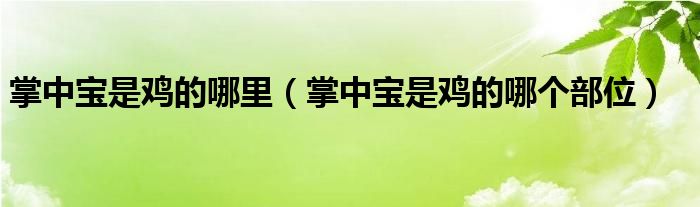 掌中宝是鸡的哪里（掌中宝是鸡的哪个部位）