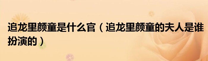 追龙里颜童是什么官（追龙里颜童的夫人是谁扮演的）