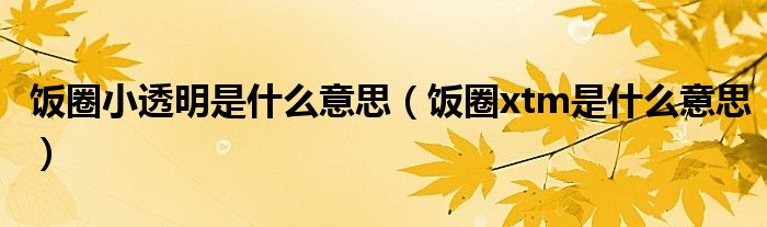 饭圈小透明是什么意思（饭圈xtm是什么意思）