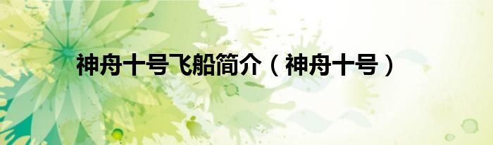 神舟十号飞船简介（神舟十号）