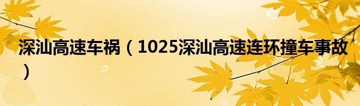 深汕高速车祸（1025深汕高速连环撞车事故）