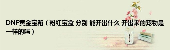 DNF黄金宝箱（粉红宝盒 分别 能开出什么 开出来的宠物是一样的吗）