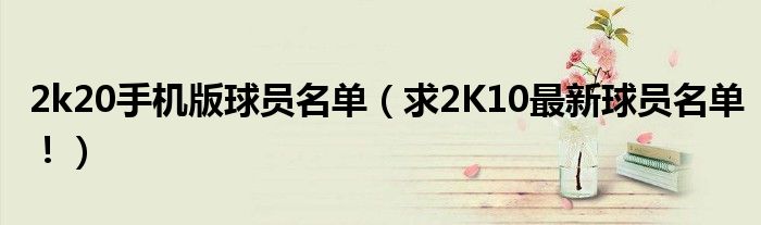 2k20手机版球员名单（求2K10最新球员名单！）